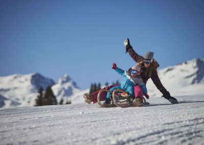 Rodeln Tobogganing